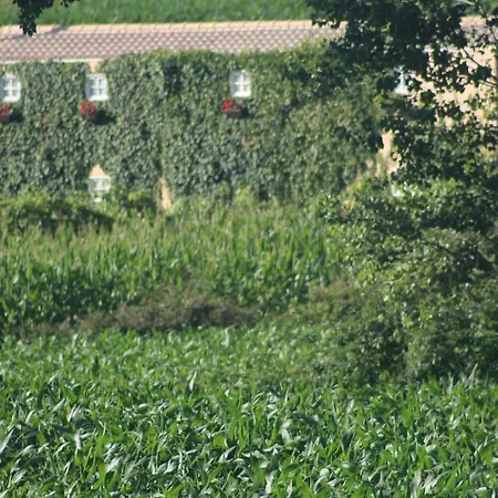 Casa Do Moinho Country house
