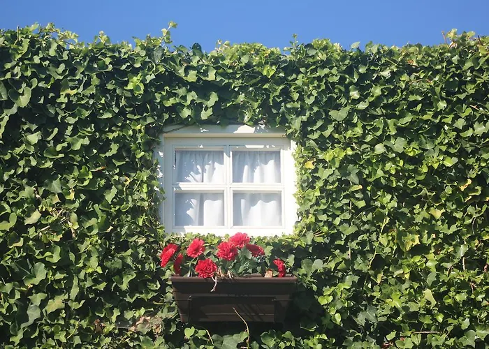 Casa Do Moinho Landhaus Ovar