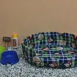 Kır Evi Casa Do Moinho *