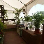 Casa Do Moinho Kır Evi *