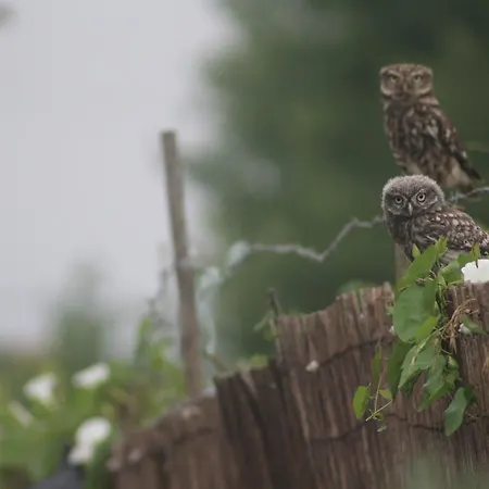 Casa di campagna Casa Do Moinho *