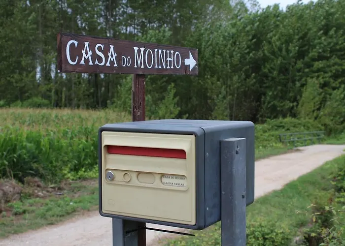 乡村民宿 磨坊农舍 *